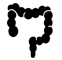 Proctología