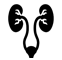 Urología